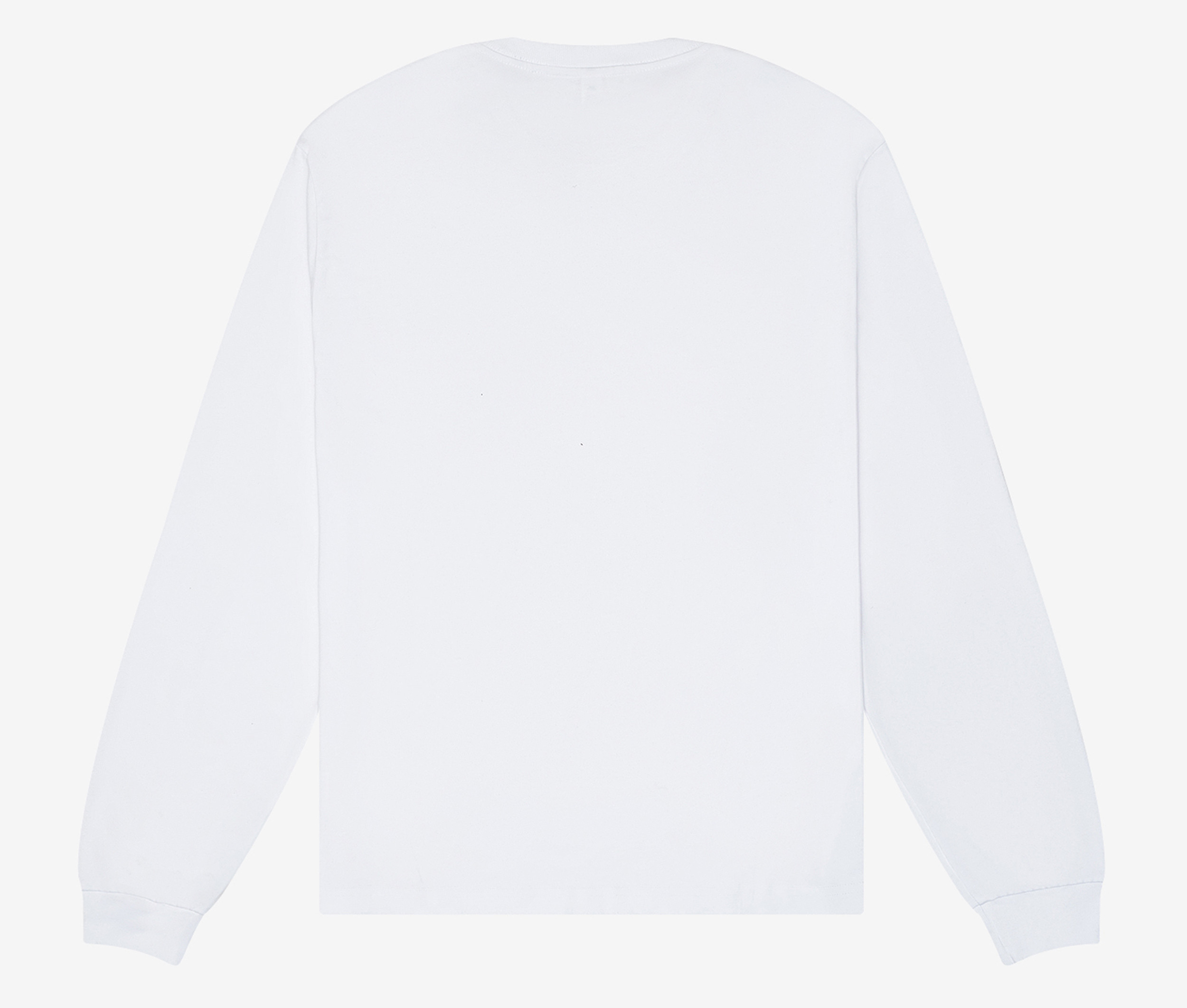UNISEX HEAVY BOXY LONG SLEEVE TEE