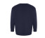 CRATER RECYCLED SWEATSHIRT